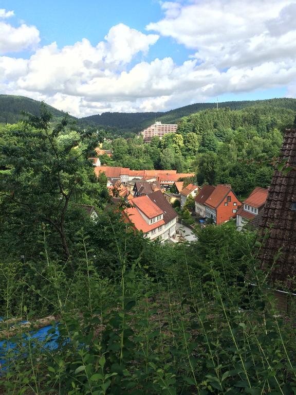 Ferienwohnung Zur Alten Post Bad Grund Ngoại thất bức ảnh